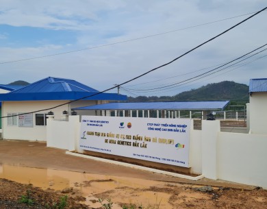 Dự án DE HEUS Dak Lak