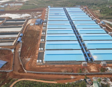 Dự án JAPFA Đắk Nông